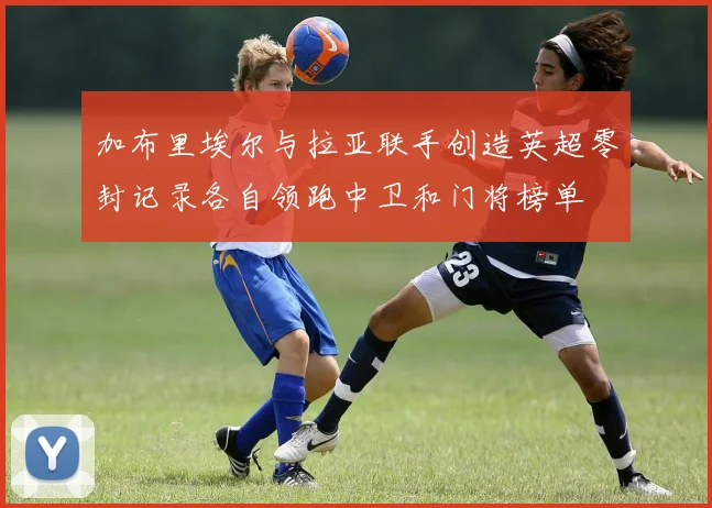 加布里埃尔与拉亚联手创造英超零封记录各自领跑中卫和门将榜单