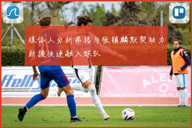 媒体人分析弗格与张镇麟默契助力新援快速融入球队