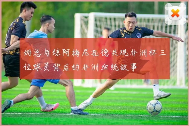 姆总与琼阿梅尼孔德共观非洲杯三位球员背后的非洲血统故事