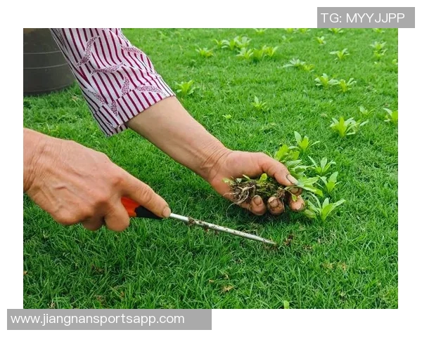 草皮质量堪忧王大雷呼吁大家共同维护主场草坪环境