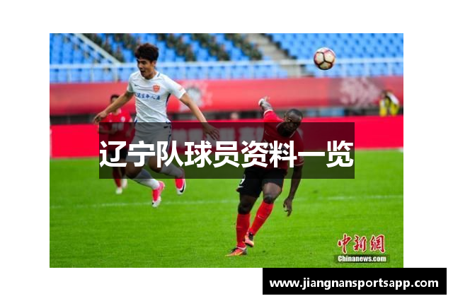 辽宁队球员资料一览